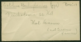 Entoloma burlinghamiae image