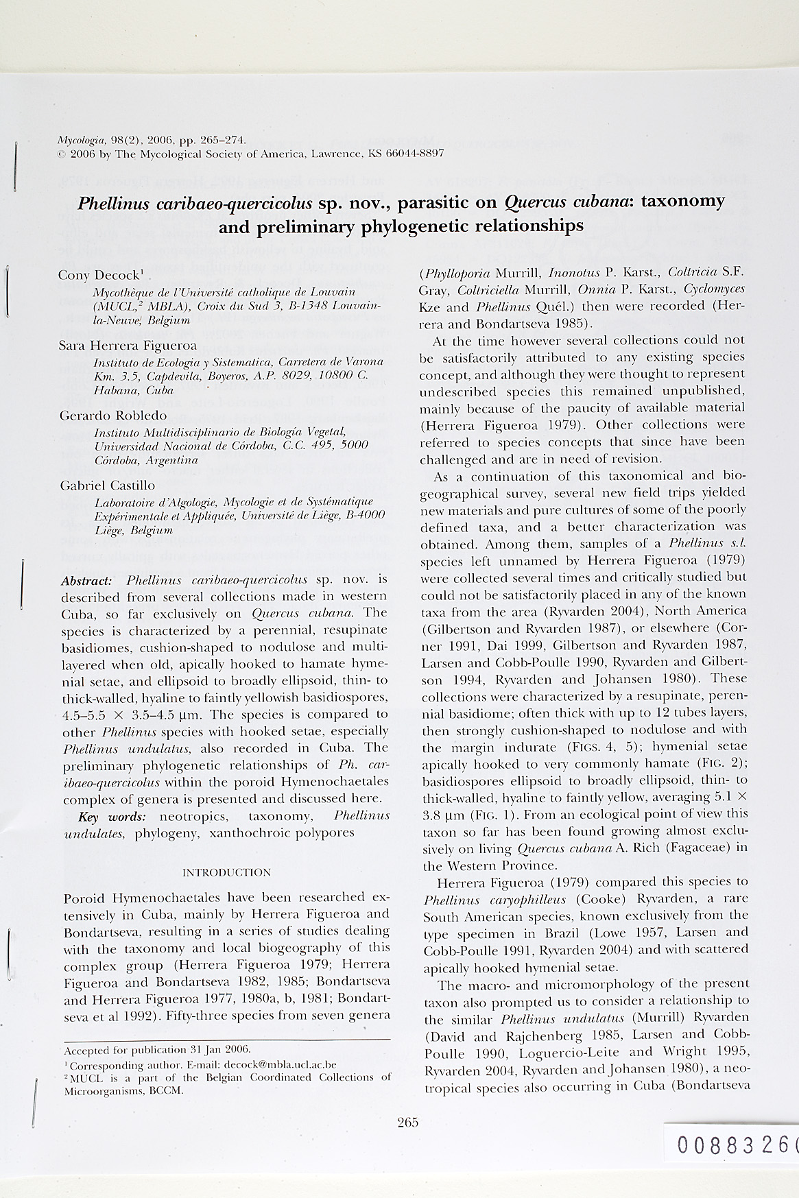 Phellinus caribaeo-quercicolus image