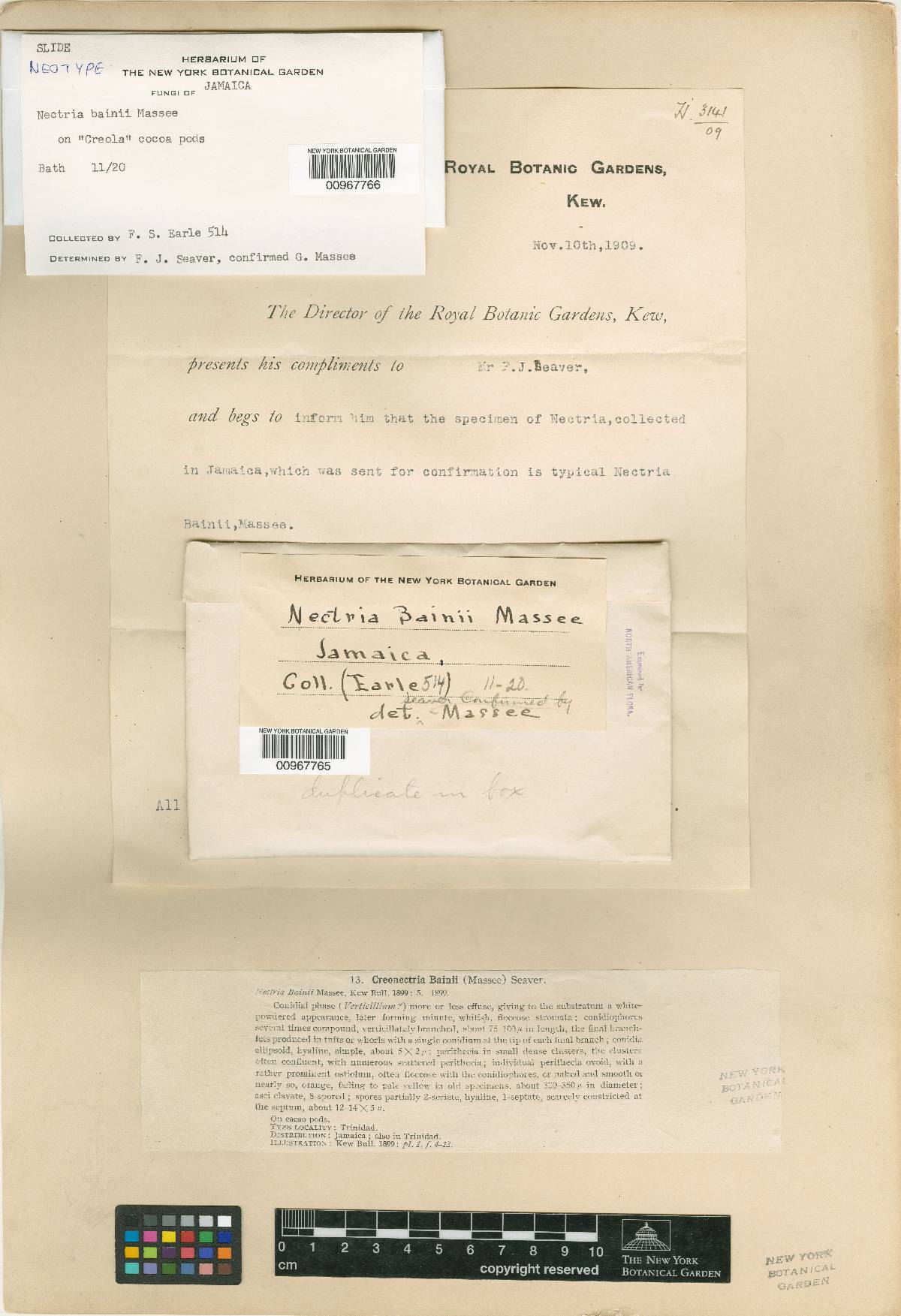 Nectria bainii image