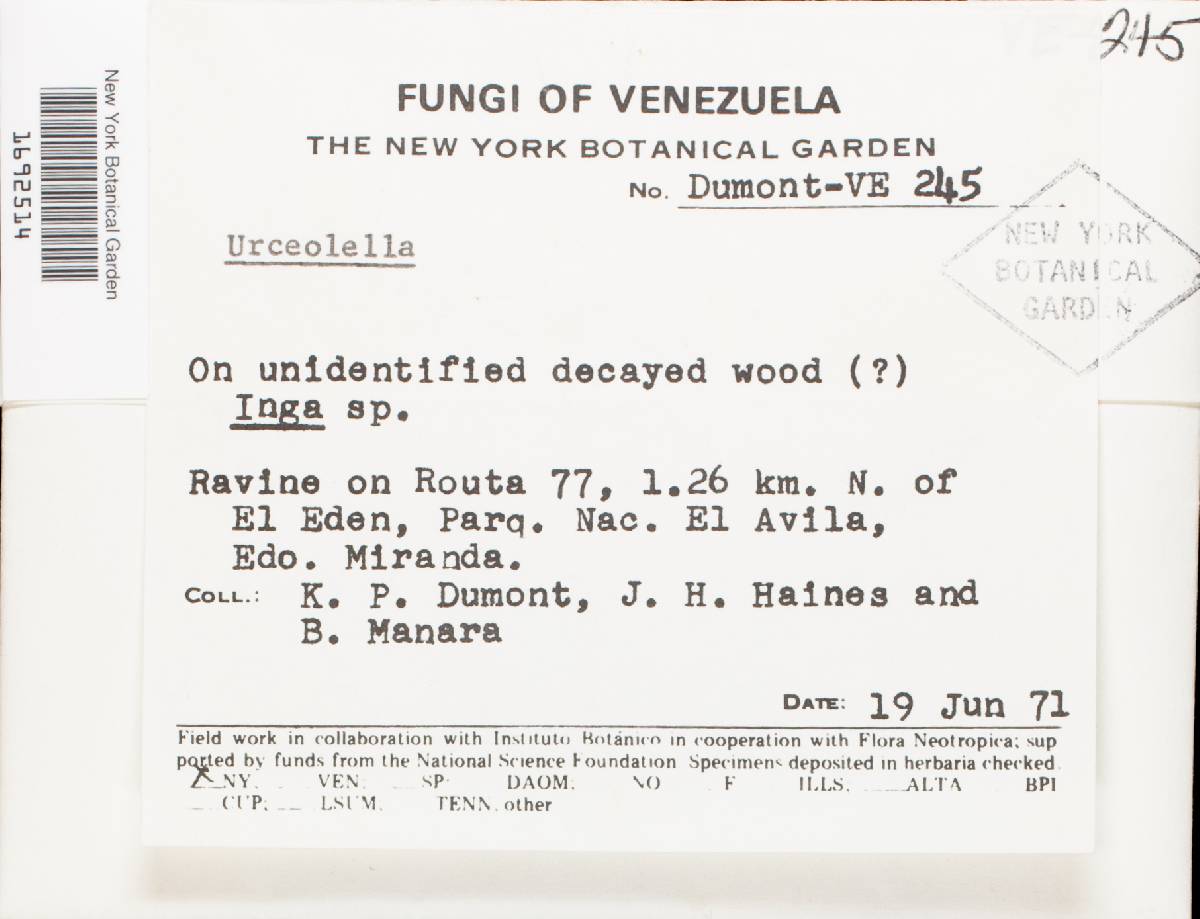 Urceolella image