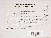 Wolfiporia extensa image