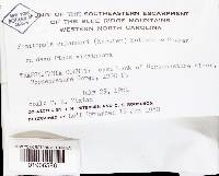 Fomitopsis cajanderi image