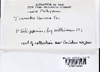 Fomitella rhodophaea image