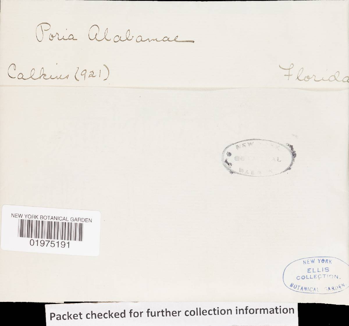 Pachykytospora alabamae image