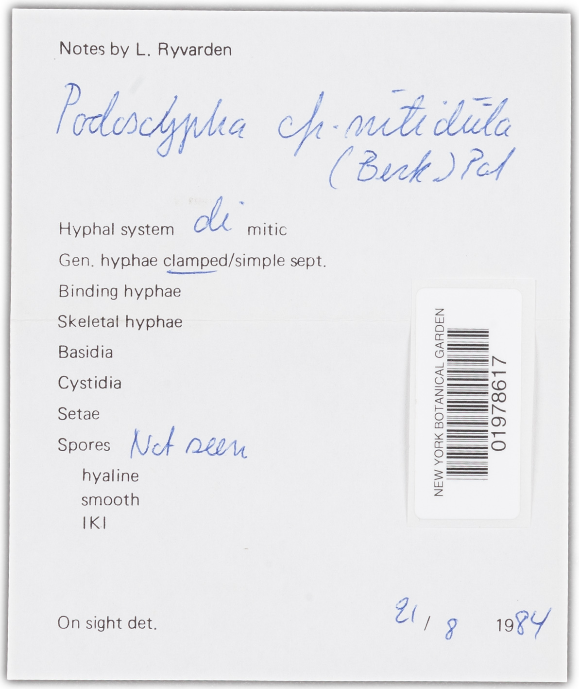 Podoscypha nitidula image