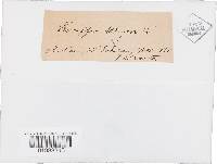 Hyphoderma setigerum image