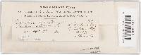 Trichaptum abietinum image