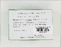 Melanoleuca evenosa image