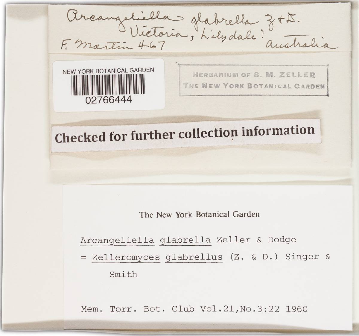 Zelleromyces glabrellus image