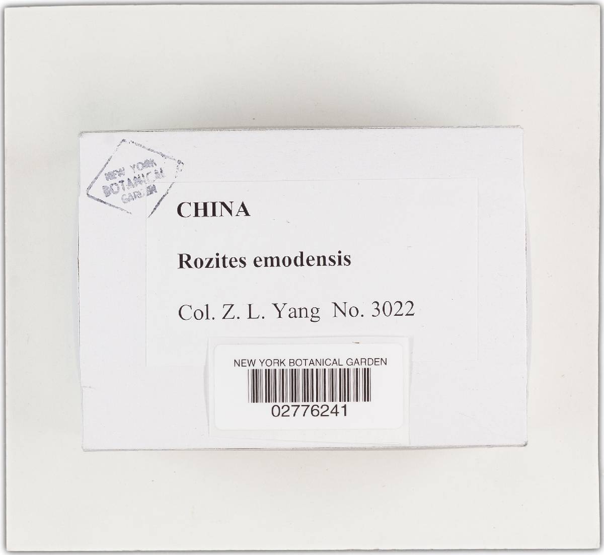 Rozites image