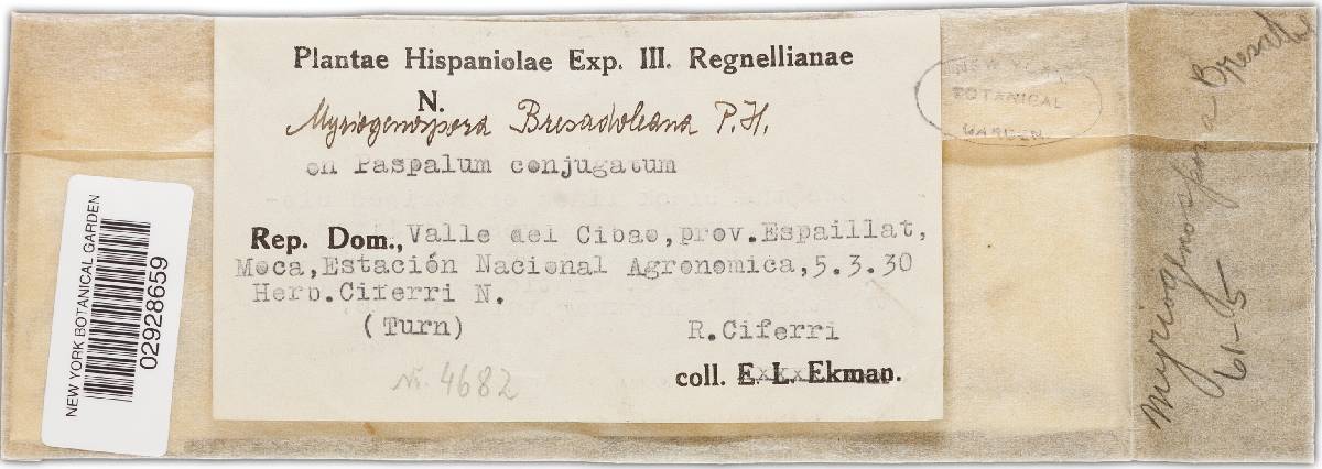 Myriogenospora bresadoleana image