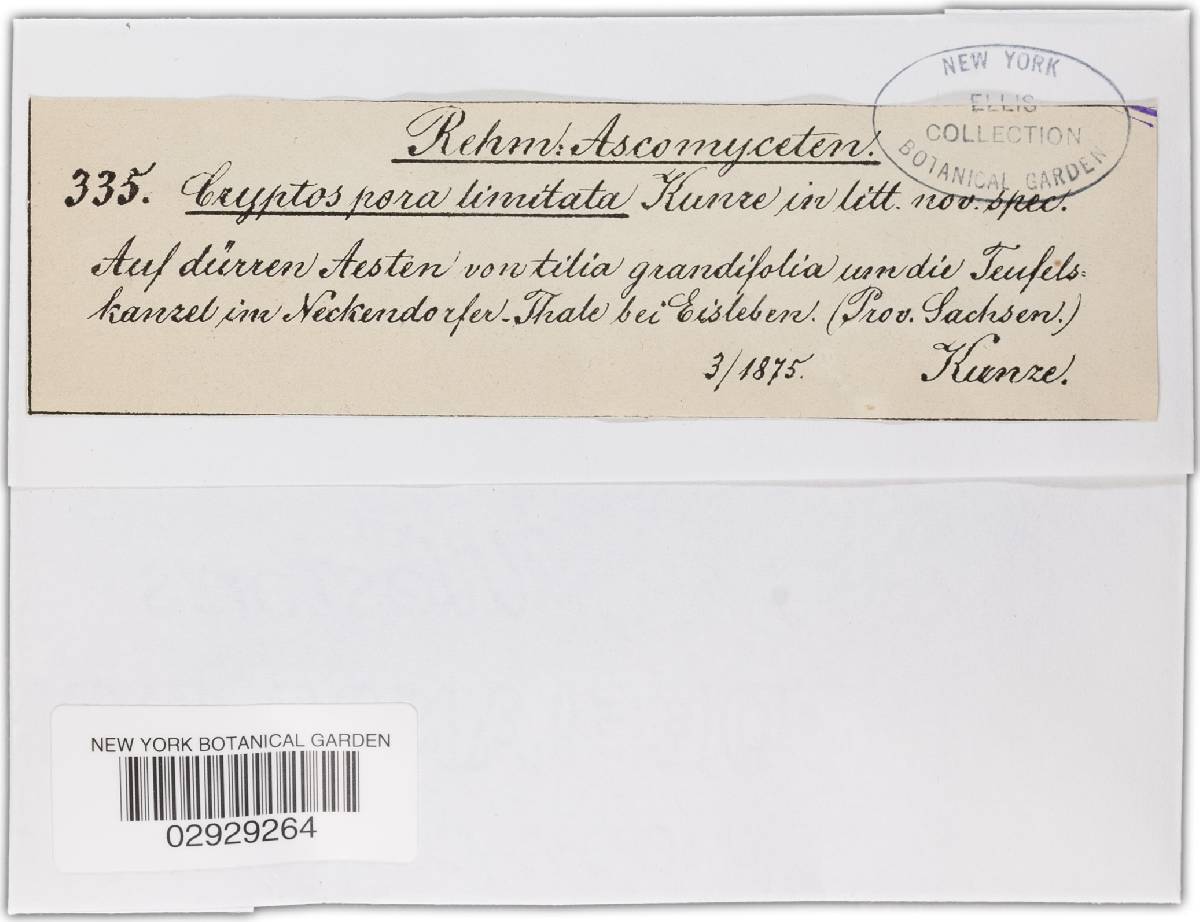 Cryptospora limitata image