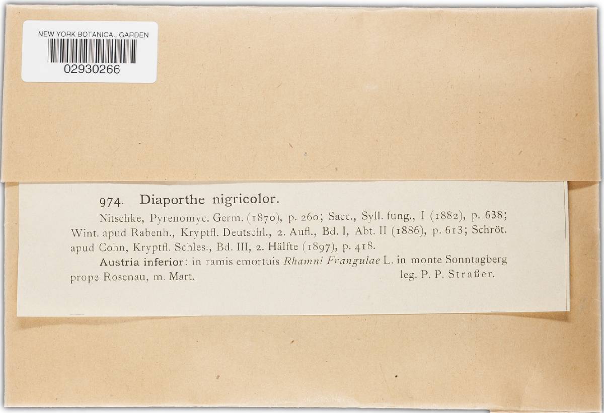 Diaporthe nigricolor image