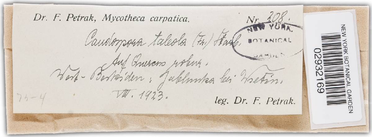 Caudospora taleola image