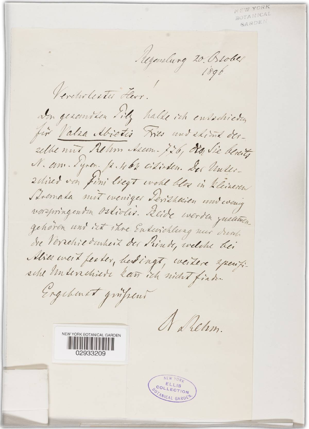Valsa abietis image