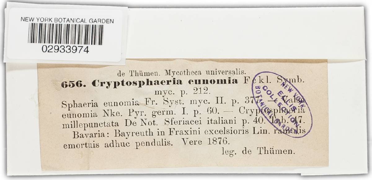 Cryptosphaeria eunomia image
