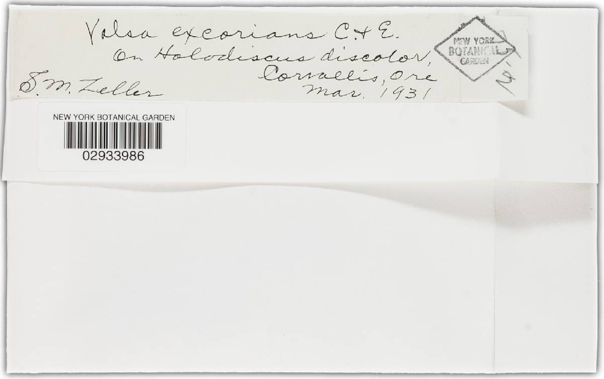 Valsa excorians image