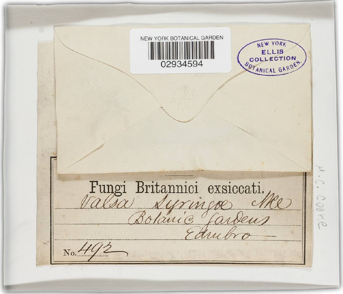 Valsa syringae image