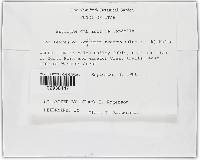 Blumeria graminis image