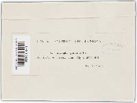 Blumeria graminis image