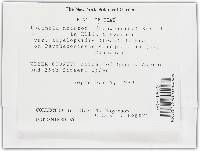 Erysiphe necator image