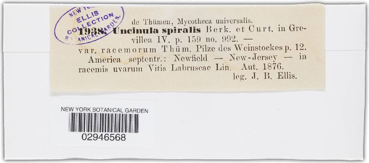 Uncinula spiralis image