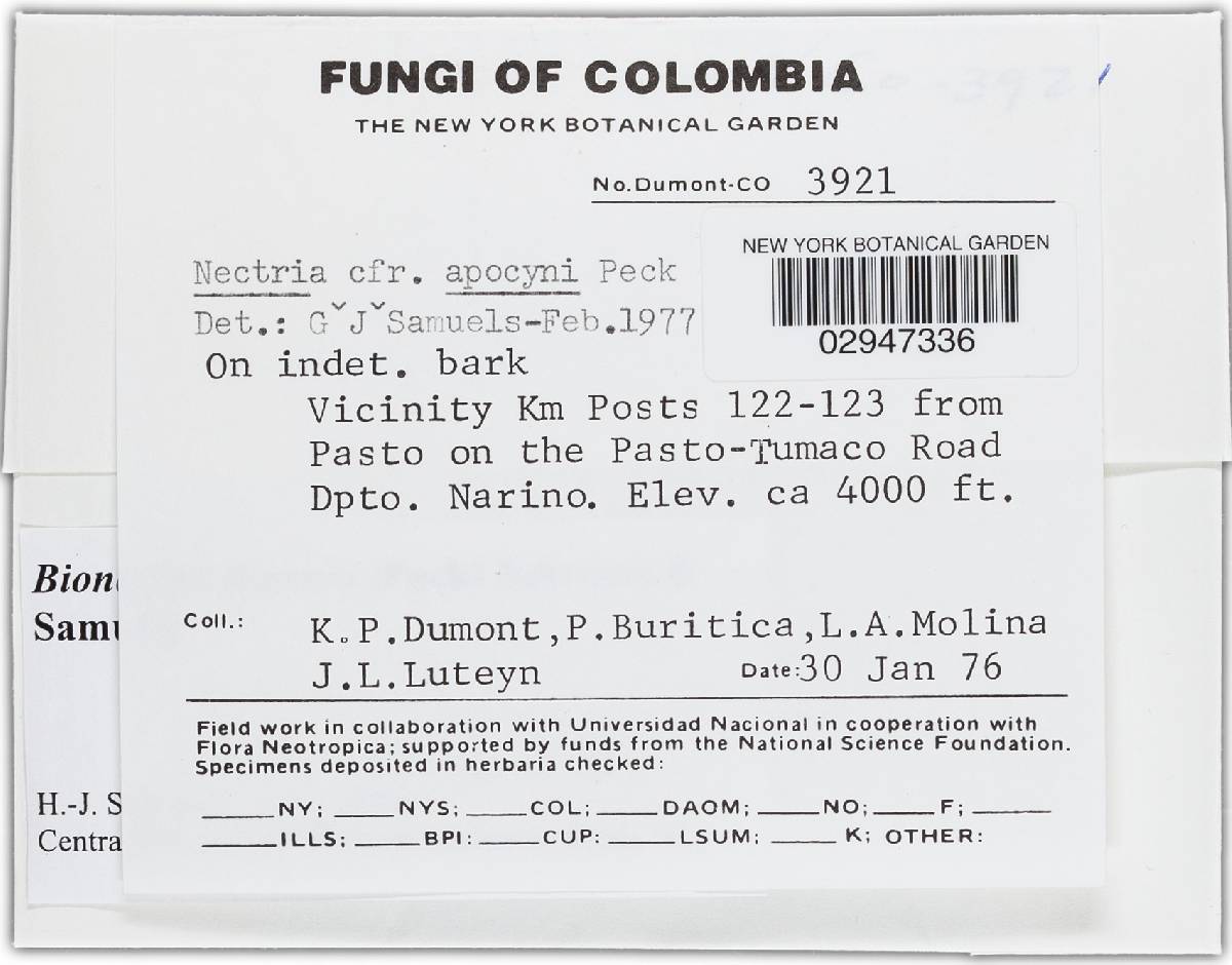 Bionectria image