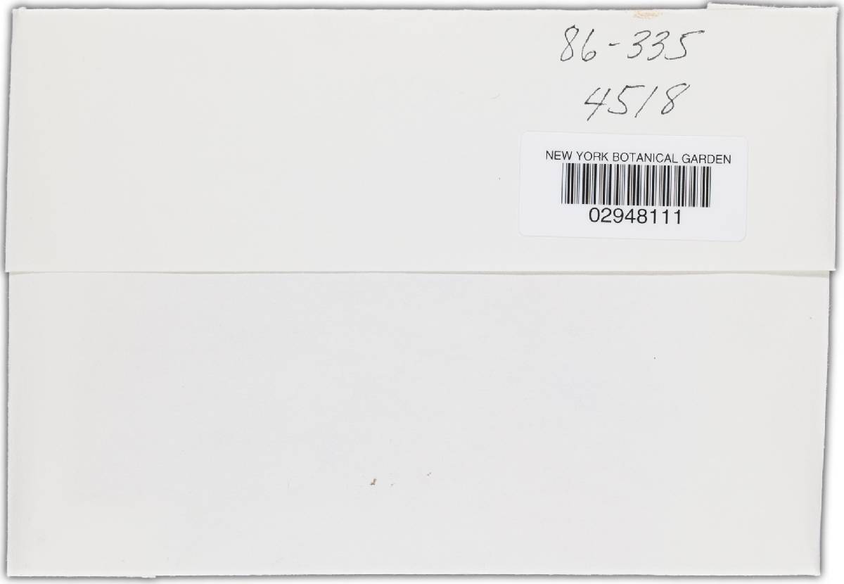 Bionectria sporodochialis image
