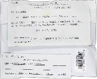 Calonectria colhounii image