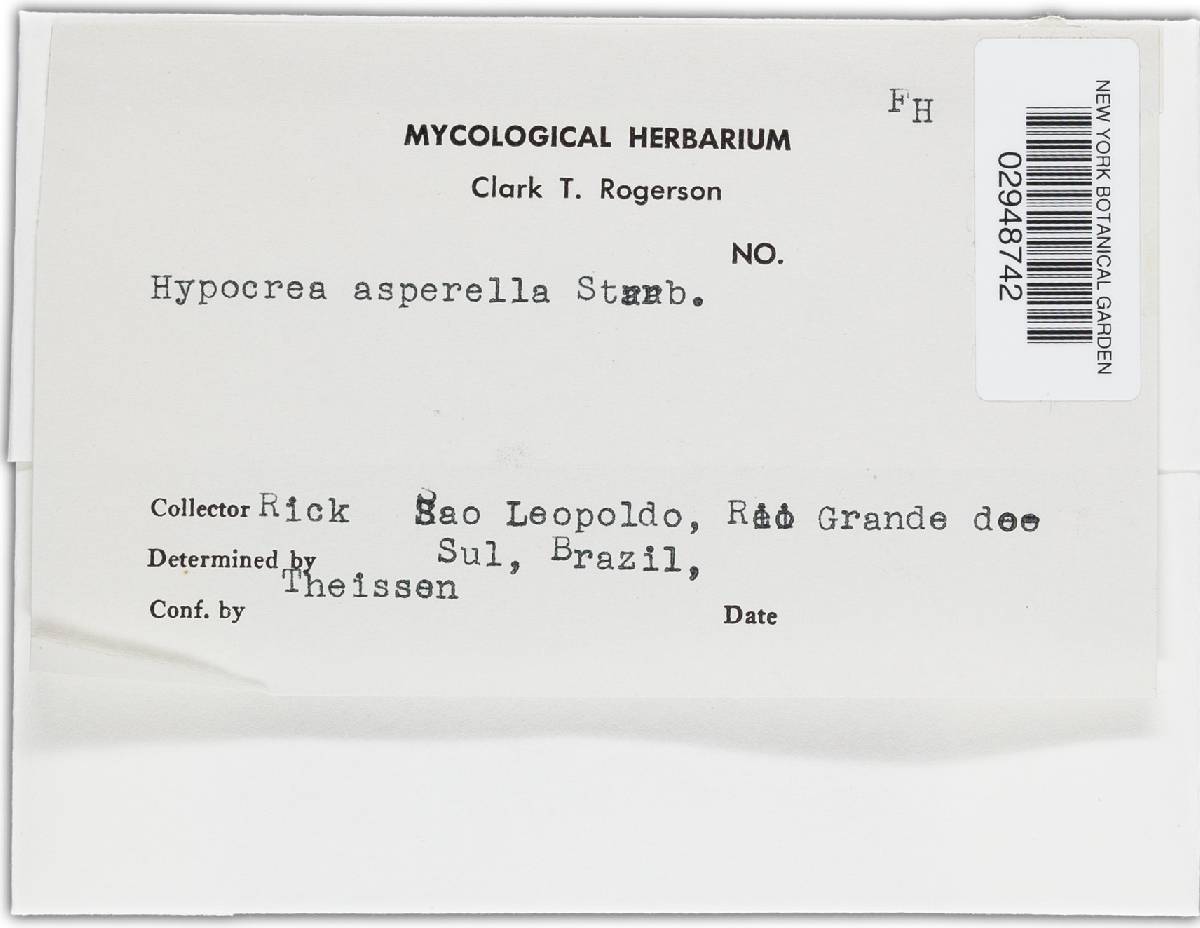 Hypocrea asperella image