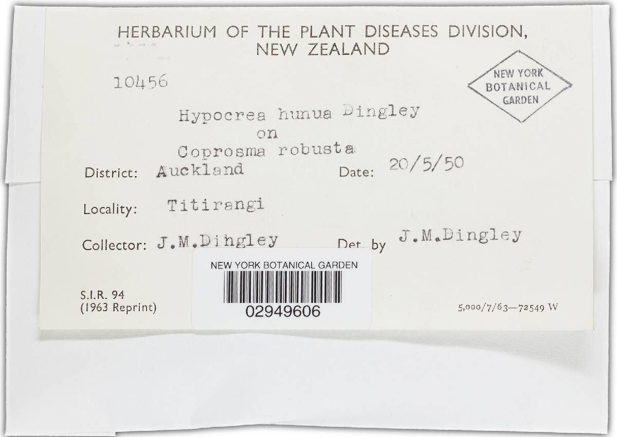 Hypocrea hunua image