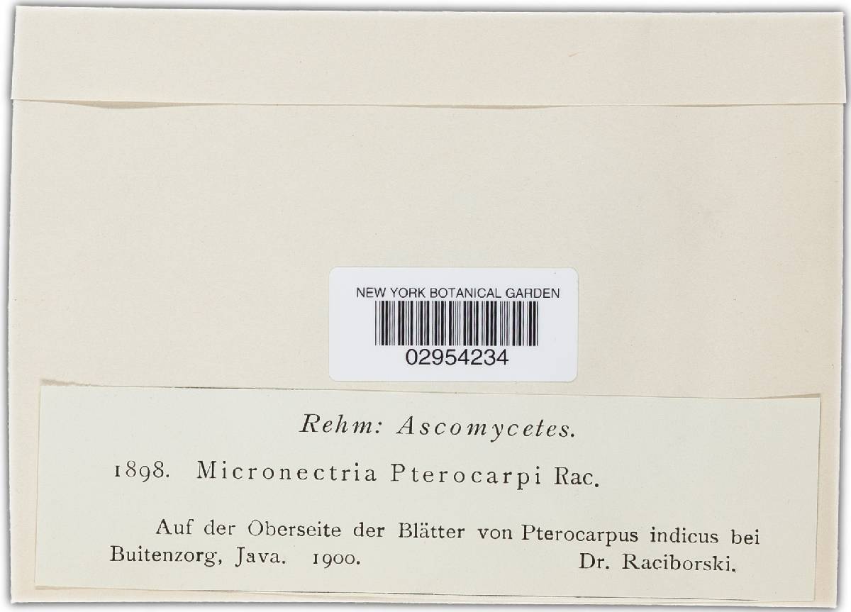 Micronectria image