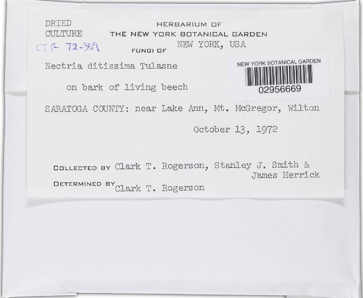 Neonectria ditissima image