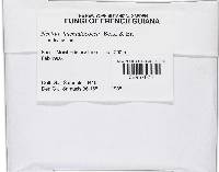 Haematonectria haematococca image