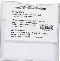 Haematonectria haematococca image