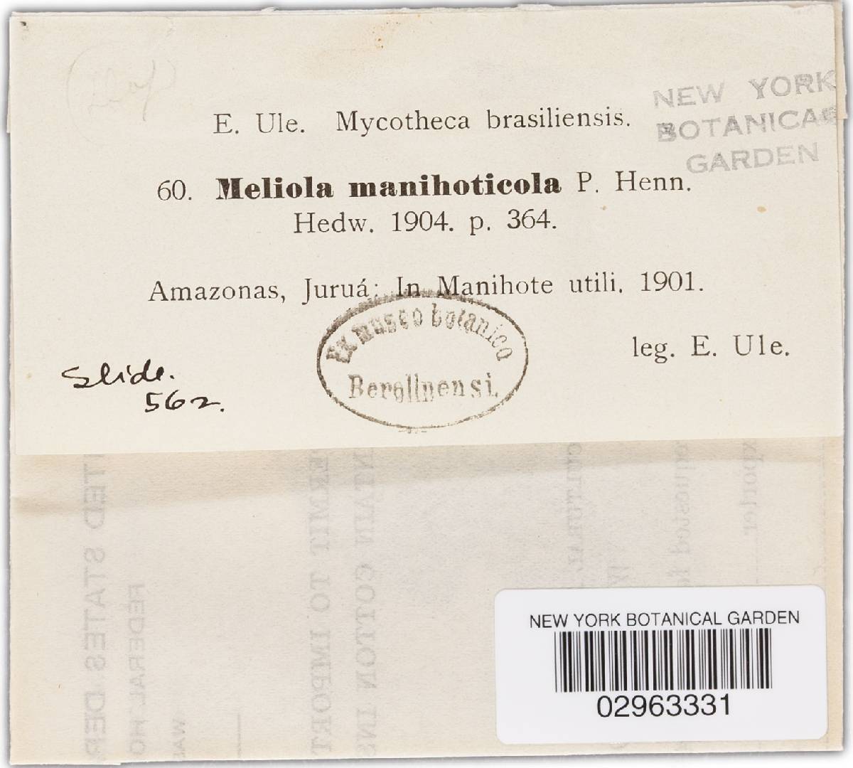 Meliola manihoticola image