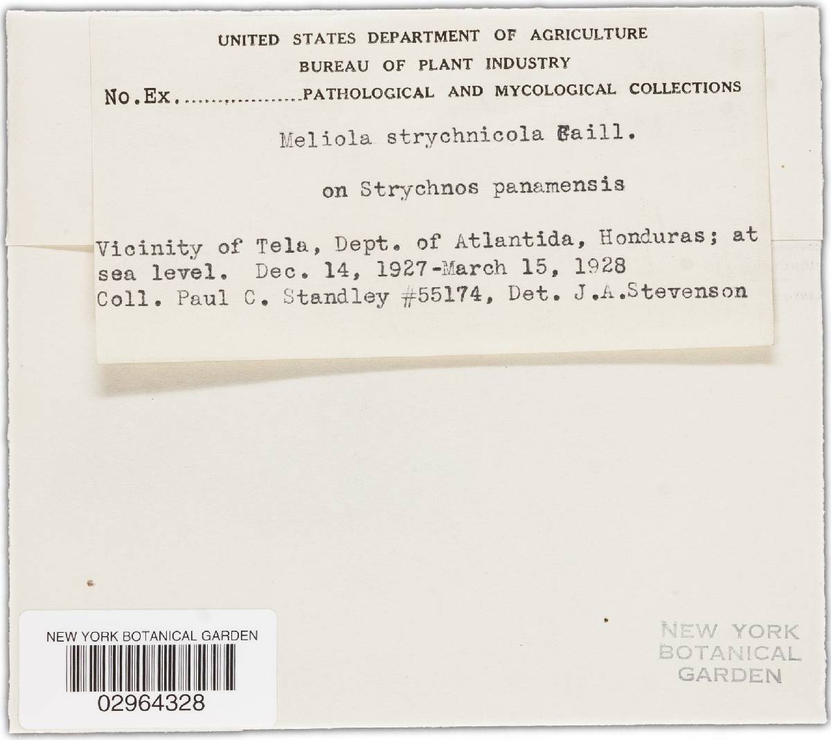 Meliola strychnicola image