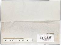 Coccophacidium pini image