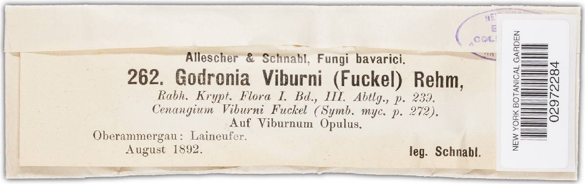 Godronia viburni image