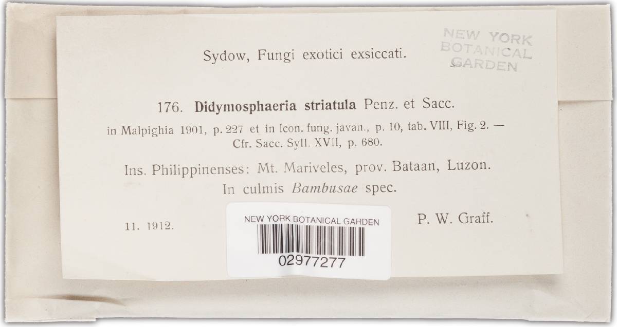Didymosphaeria image