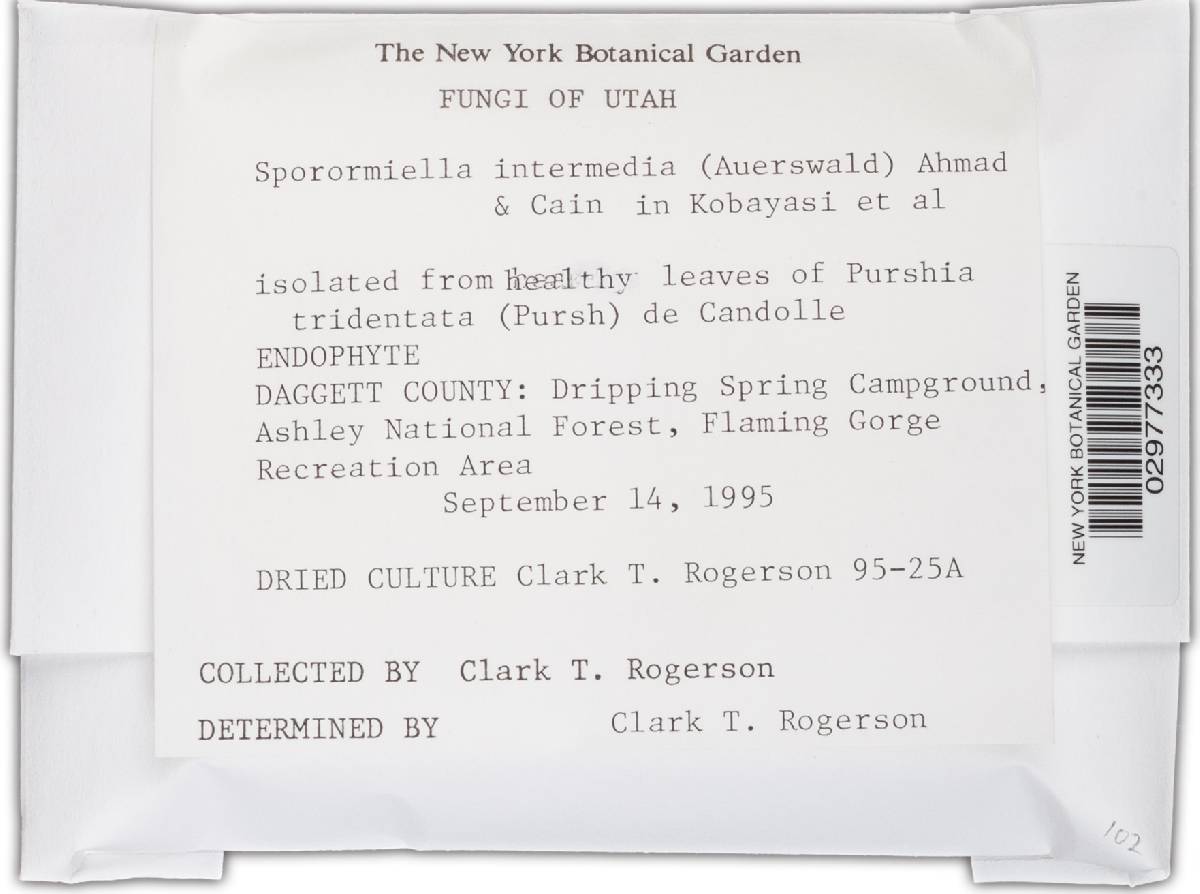 Sporormiella intermedia image