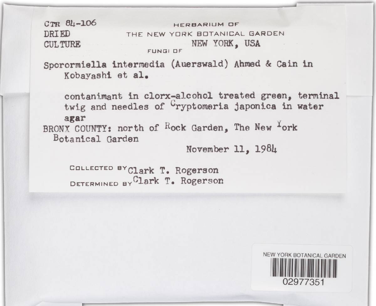 Sporormiella intermedia image