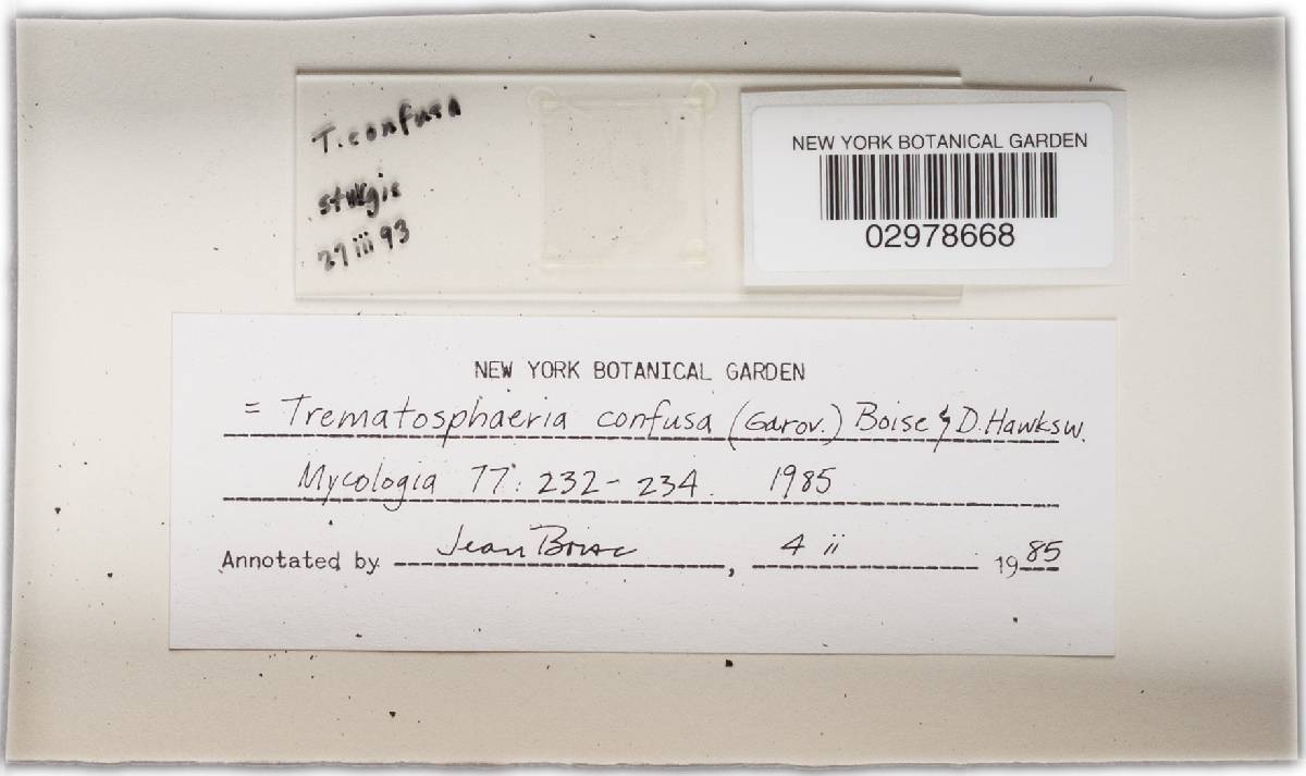 Trematosphaeria confusa image
