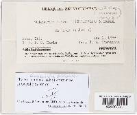 Guignardia bidwellii image