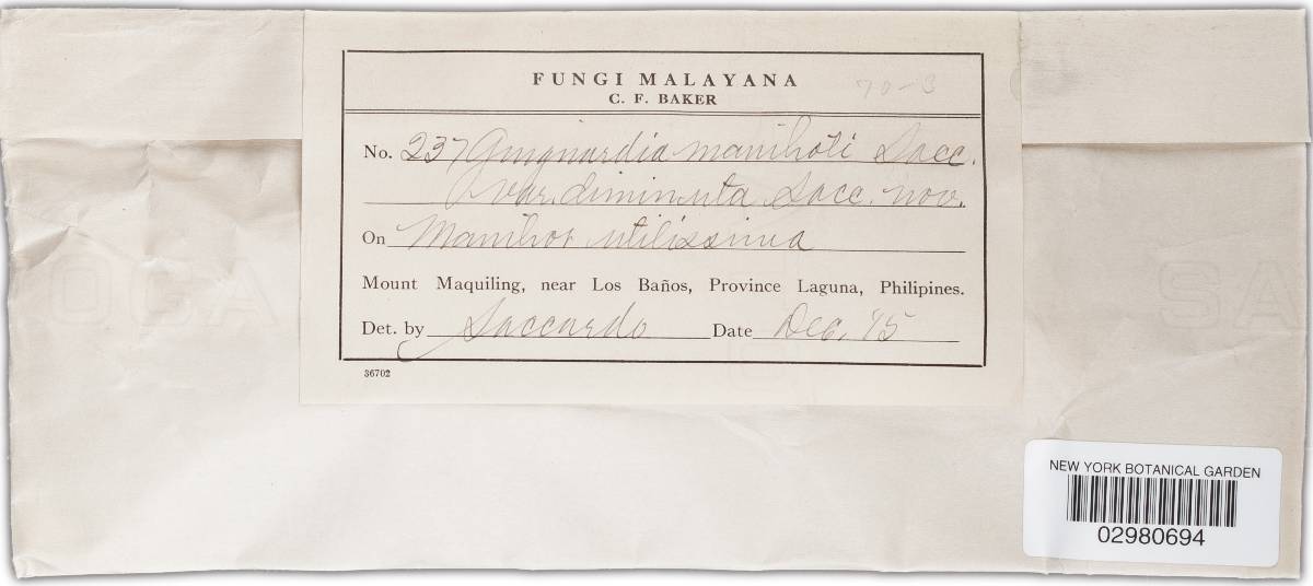 Guignardia manihoti image