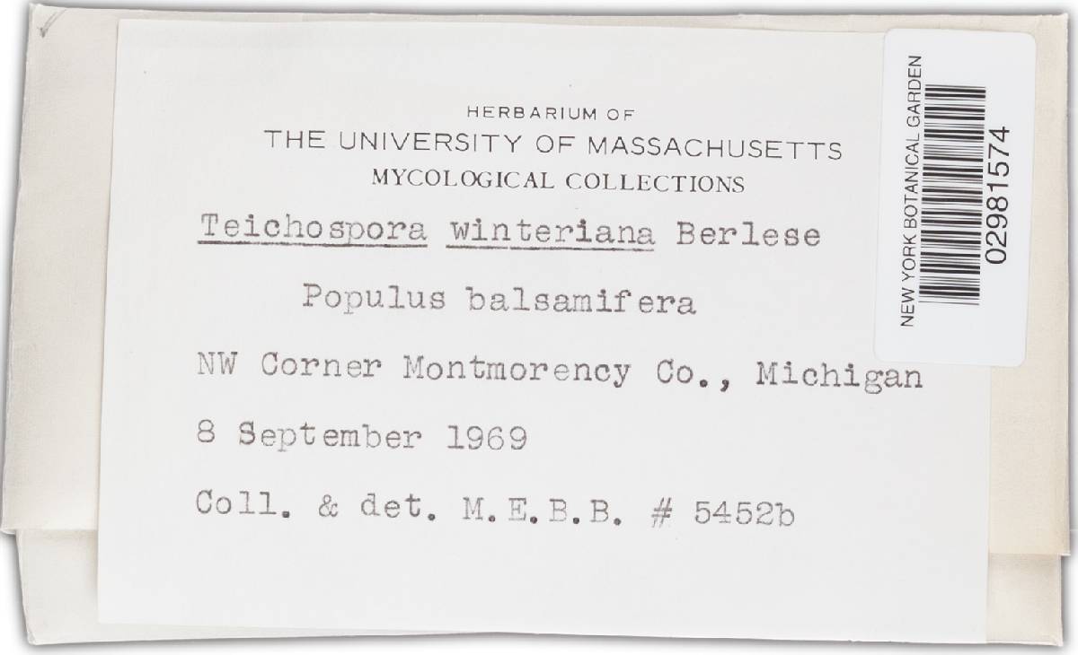 Teichospora winteriana image
