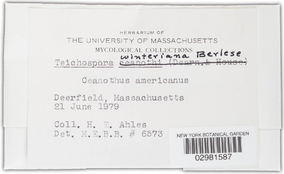 Teichospora winteriana image