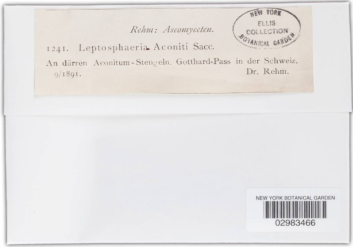 Leptosphaeria aconiti image