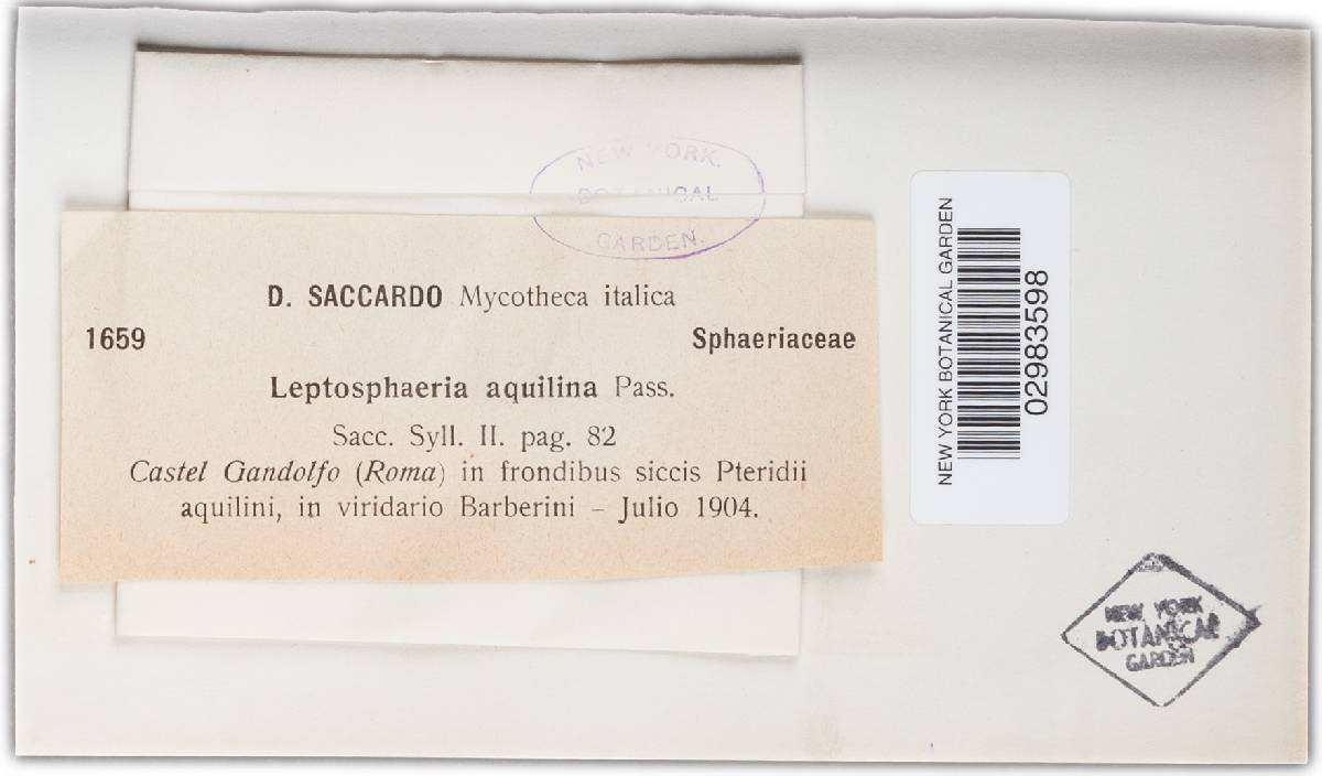Leptosphaeria aquilina image