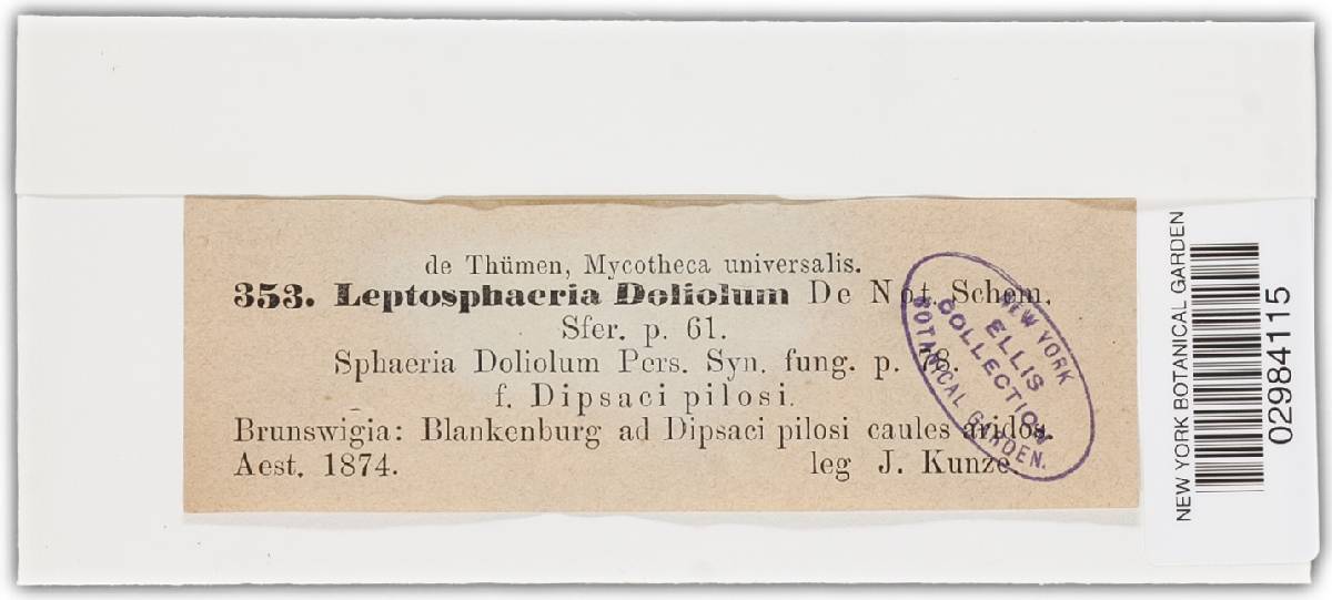 Leptosphaeria doliolum image